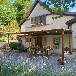  Bed & Breakfast La Colombaia Amiata